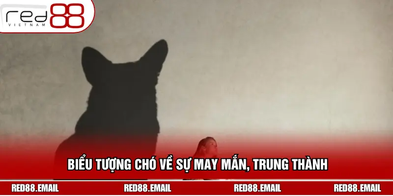 Giải Mã Nằm Mơ Thấy Chó: Điềm Báo Gì Và Nên Đánh Số Mấy? Biểu tượng chó về sự may mắn, trung thành