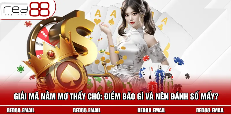 Giải Mã Nằm Mơ Thấy Chó: Điềm Báo Gì Và Nên Đánh Số Mấy? Giải Mã Nằm Mơ Thấy Chó: Điềm Báo Gì Và Nên Đánh Số Mấy?
