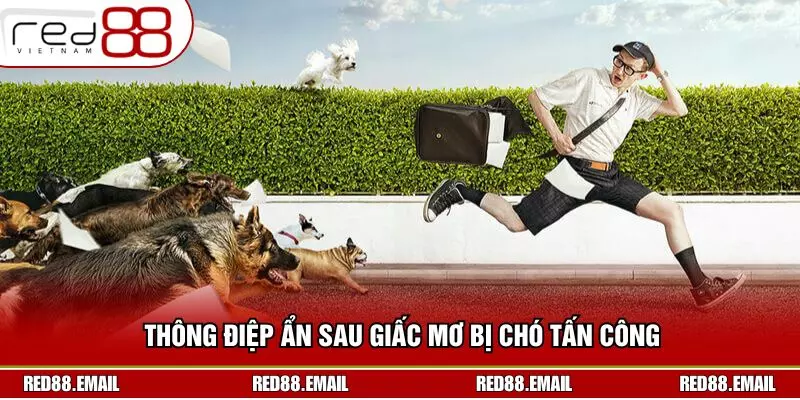 Mơ Bị Chó Cắn Đánh Con Gì Từ Góc Nhìn Chuẩn Xác RED88 Thông điệp ẩn sau giấc mơ bị chó tấn công
